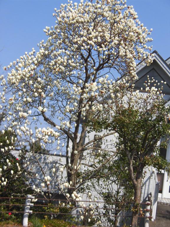 Holiday Home Apple إيتو المظهر الخارجي الصورة